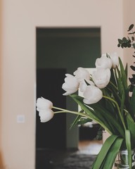 white flowers in a vase