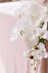 The table of the groom and bride is decorated with fresh white orchids