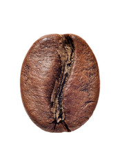 Coffee bean isolated on white