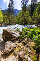 Fototapeta na wymiar Mountain wild river landscape. River valley in mountains. Wild mountain river panorama. Small waterfall in forest stream. Long exposure. Fast water stream in mountain river with coniferous forest