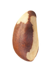 Brazilian nut isolated on white