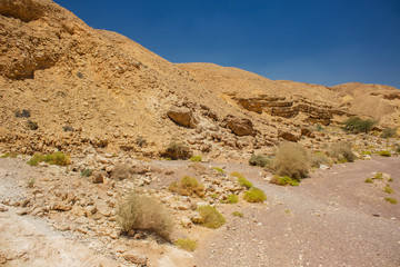 global warming nature scenery results desert sand stone rocky hills wasteland environment and nothing else 