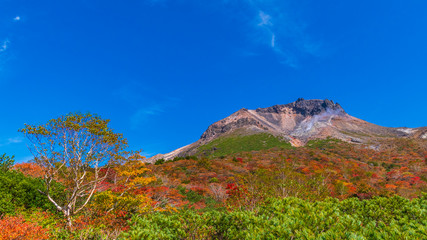 那須岳(茶臼岳)　紅葉②