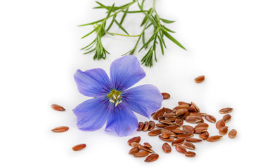  Flax seeds with flowers isolated on white background
