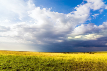  Gorgeous cumulus clouds