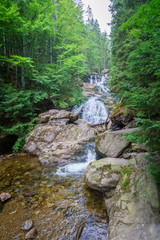 Fototapeta na wymiar Rißloch Wasserfälle 2019