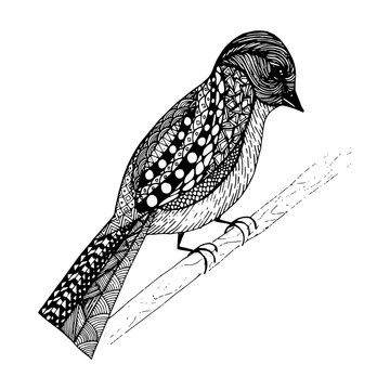 Abstract bird sits on a branch. Drawn by hand in a black zentangle style liner. Isolated on a white background. Bird with a pattern on the wings and tail.