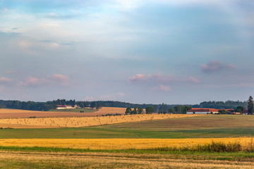 Summer Landscape with fields, forest and clouds. Czech farmland.