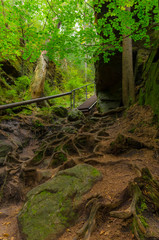 Fototapeta premium Valley Kyjov (Kyjovské údolí) - Bohemian Switzerland National Park