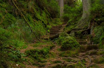 Valley Kyjov (Kyjovské údolí) - Bohemian Switzerland National Park
