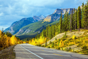 Naklejka premium Excellent road crosses the Canadian Rockies