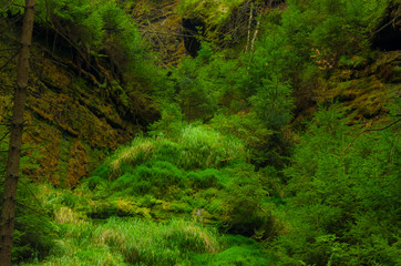 Obraz premium Valley Kyjov (Kyjovské údolí) - Bohemian Switzerland National Park