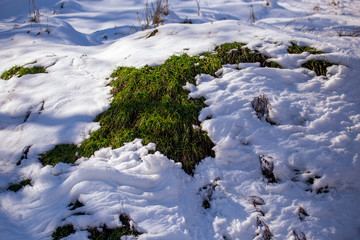 Snow on the ground as an abstract background