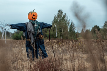 A scary scarecrow with a halloween pumpkin head in a field in cloudy weather. Halloween background,...