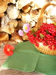 Gardening and farming concept. Close up shot of basket with red berries of viburnum on the wooden background.Autumn still life of flowers and berries on the background of woodpile.Space for your text.