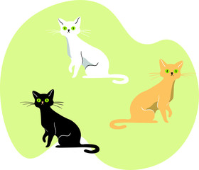 Cats animals vector set isolated illustration .Concept for print , web design, cards