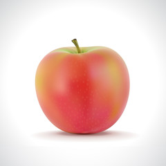 Realistic Illustration of A Red Apple