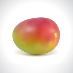 Realistic Illustration of a Mango Fruit