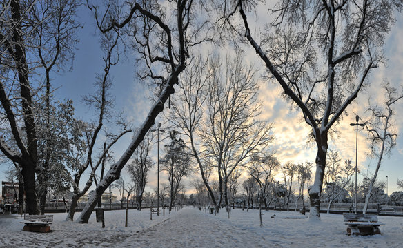 Panaromic Landscape  Beautiful 