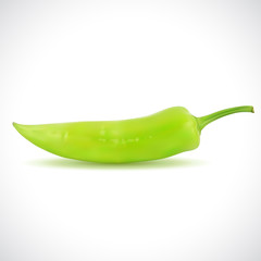 Realistic Illustration of a Green Pepper