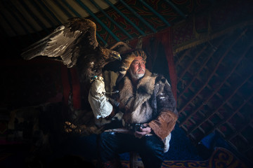 Portrait of an old kazakh eagle hunter with his majestic golden eagle indoors in dark traditional kazakh ger. Ulgii, Western Mongolia.