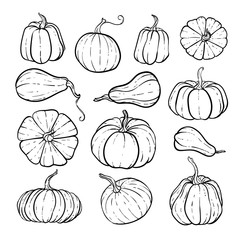 Set of decorative black and white pumpkins. Hand drawn sketch vector autumn illustration. Thanksgiving Day, halloween Holiday background. Harvest