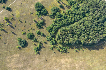 green forest, view from above