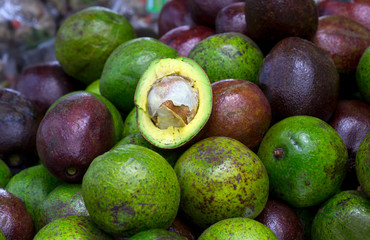  Avocado and avocado pieces on a wooden floor and has a background of nature