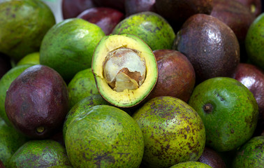  Avocado and avocado pieces on a wooden floor and has a background of nature