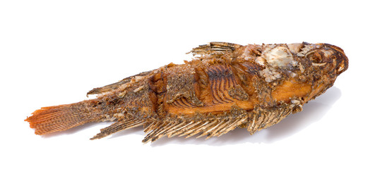 Fried Tilapia fish fried isolated on white background