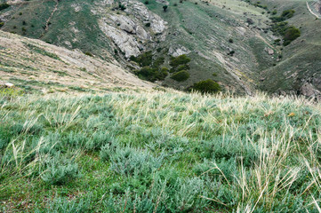 Mountain meadows on the Crimean peninsula