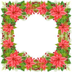 Christmas frame decoration Christmas star and winter plants: holly leaves, dried twig with red berries and fir branch isolated on white background. Watercolor Christmas wreath of poinsettia flowers.