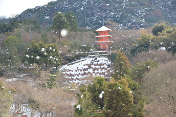 清水寺