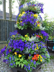 イングリッシュガーデン