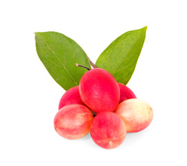 Carissa carandas Linn,Karanda, Carunda isolated on white background.