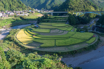 和歌山　あらぎ島