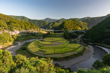 和歌山　あらぎ島