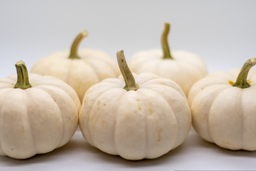 Pumpkins on white background