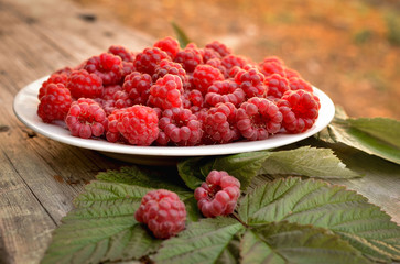 Fresh beautiful raspberries lie that dish in the park. Raspberries and its leaves in a still life. Bright summer photo in warm tint.