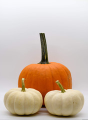 pumpkin on white background