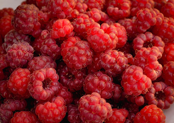 Fresh beautiful raspberries lie that dish in the park. Raspberries and its leaves in a still life. Bright summer photo in warm tint.