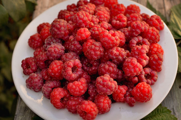 Fresh beautiful raspberries lie that dish in the park. Raspberries and its leaves in a still life. Bright summer photo in warm tint.