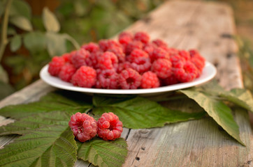 Fresh beautiful raspberries lie that dish in the park. Raspberries and its leaves in a still life. Bright summer photo in warm tint.