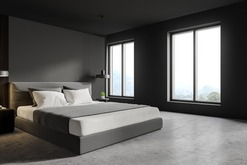 Minimalistic grey master bedroom corner