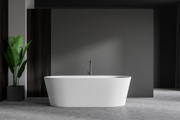 Fototapeta na wymiar Gray and wooden bathroom with tub and plant