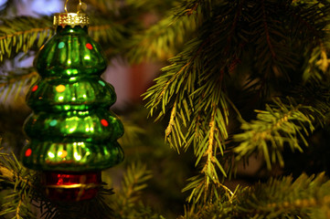Bright and shiny decorations for Christmas and New Year hang on a green spruce.