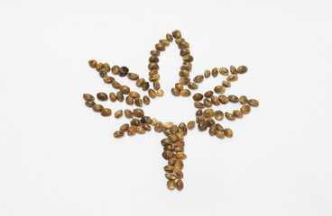 Cannabis leaf draw with hemp seeds and isolated on white background