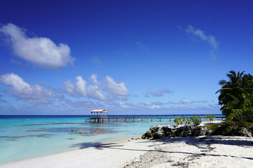 View of a dock from a sandy beach with palm trees leading into a blue lagoon on a tropical island