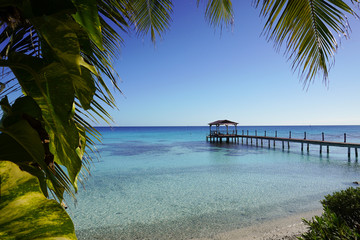 Tropical leaves frame an image of a dock leading out into turquoise waters