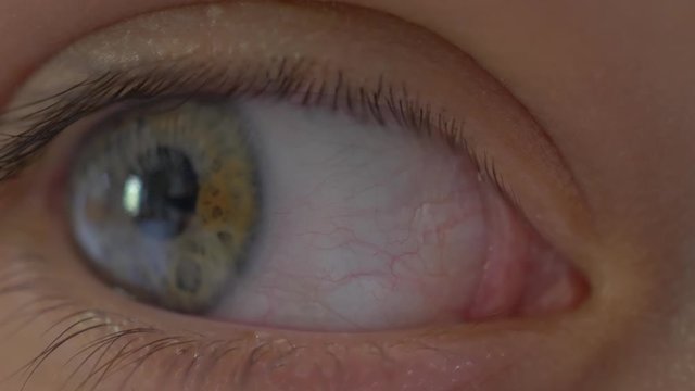Macro of woman eye, gren and blue clored eye close up